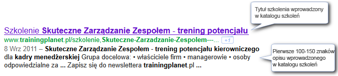 Rysunek 1 Przykładowy widok wyniku wyszukiwania w google.pl