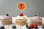 s_cupcakes-697444_640