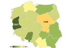 Jak zarabiamy w 2015? Podsumowanie raportu płacowego