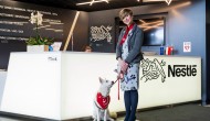 Pets@work – czyli jak się pracuje z psem w biurze